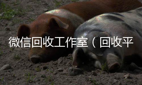 微信回收工收vx号作室（回收平台）